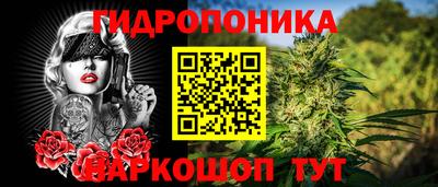 кокаин Новозыбков